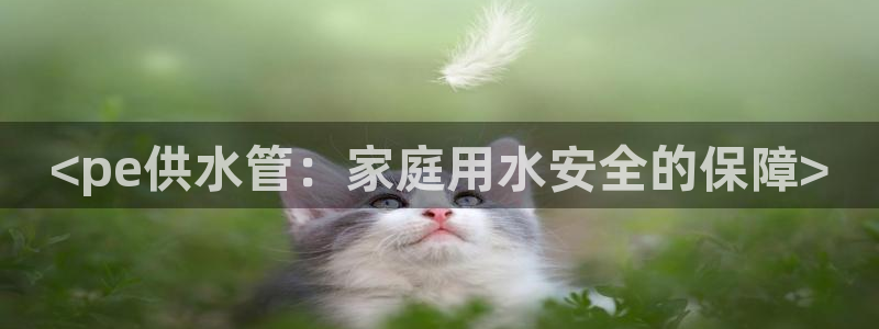 球友会在线登录账号吗安全吗
