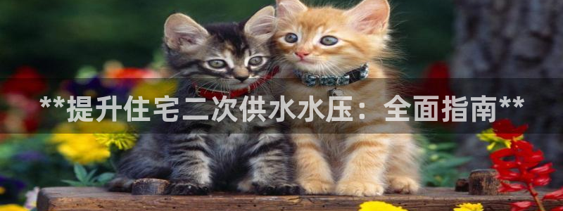 球友会体育app下载