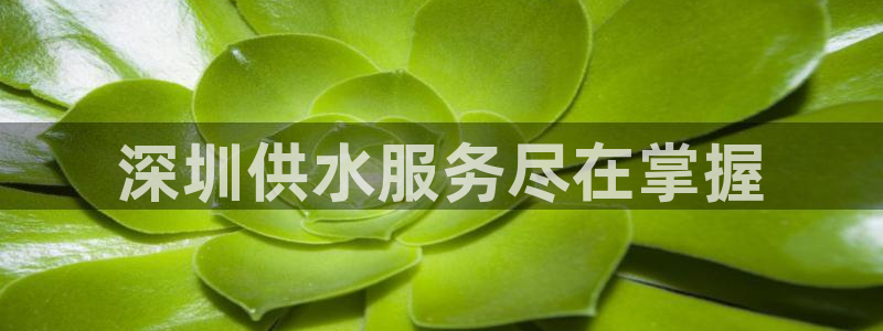 球友会聚餐发言稿简短
