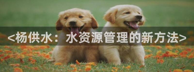 球友会比赛结果查询系统