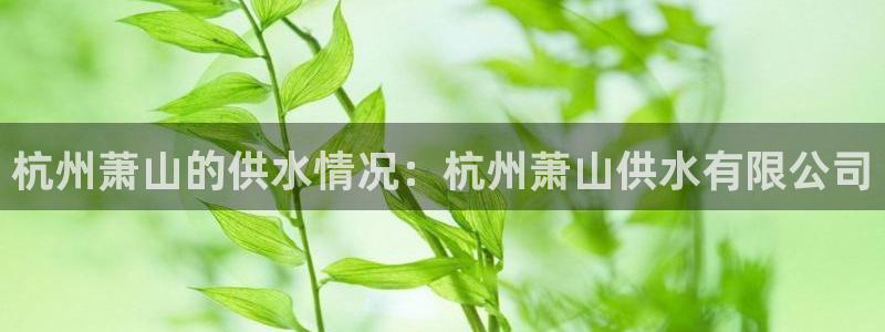球友会体育app下载安卓版