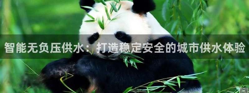 球友会网站多少钱一个