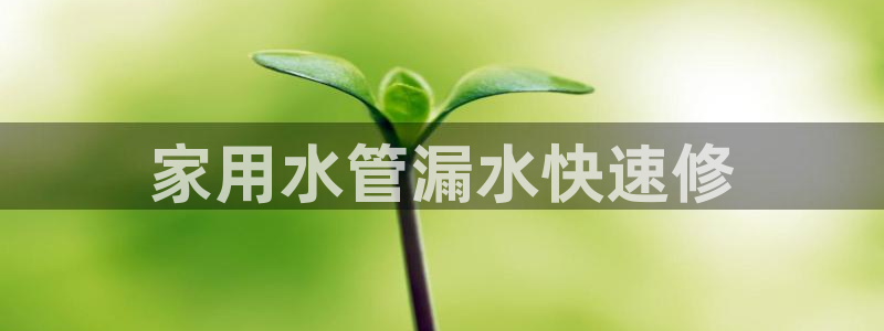 球友会apy