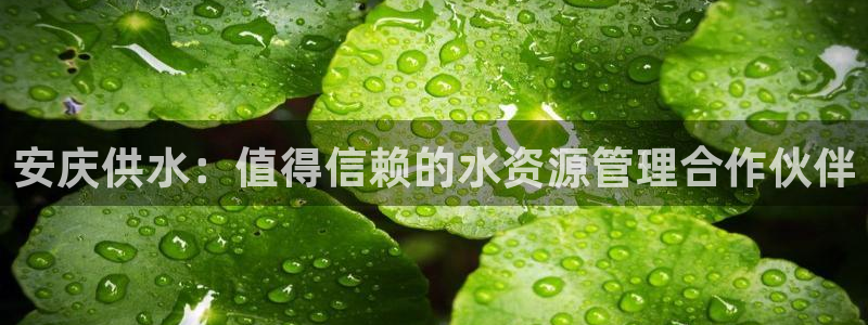 球友会官方网站下载