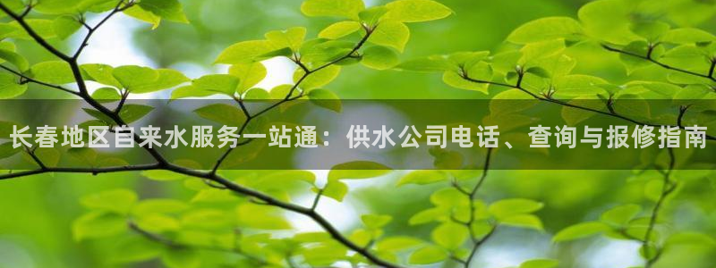 球友会体育app下载安卓最新版