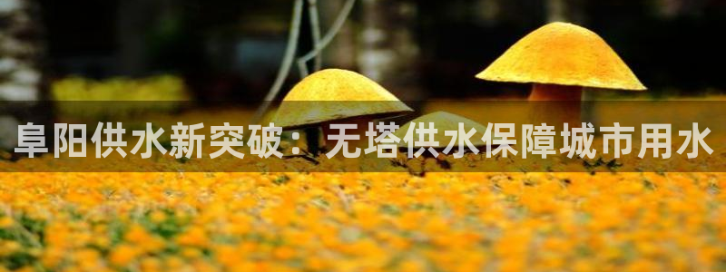球友会体育app下载官网