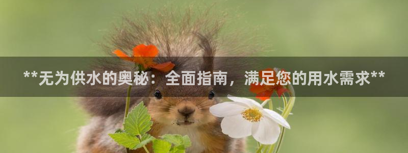 球友会logo