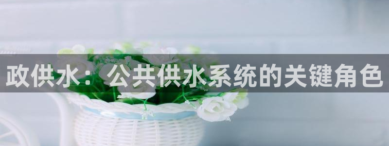 球友会首页
