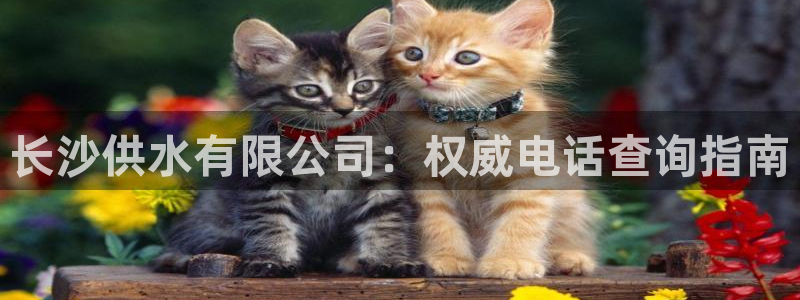 球友会友谊赛赛程