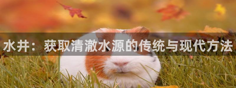 球友会台球俱乐部
