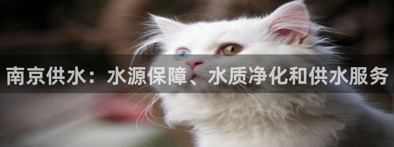 球友会友谊赛赛程