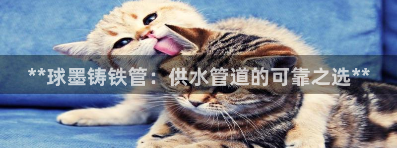 qy球友会体育官方平台