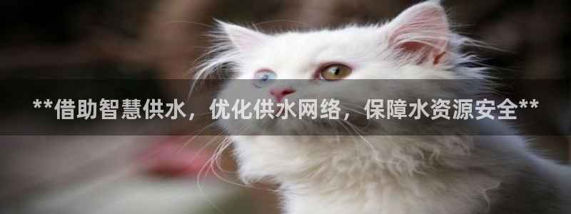 球友会破解码