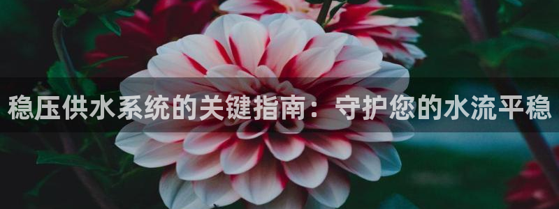 球友会app官网