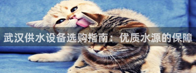 球友会在线登录账号吗安全吗