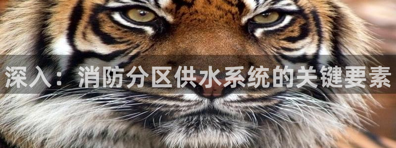 球友会致辞