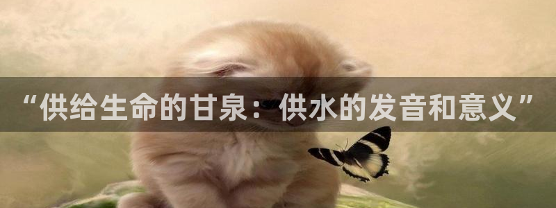 球友会提款审核
