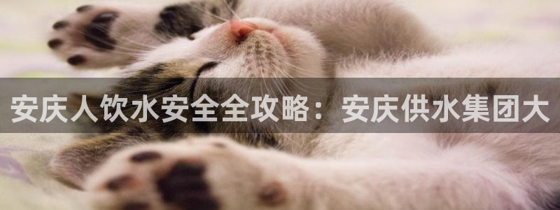 球友会提款不到账