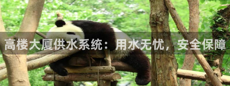 球友会体育app下载安卓