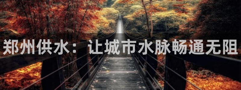 球友会是什么