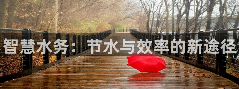 球友会提现不到账