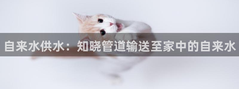 球友会app干啥的啊