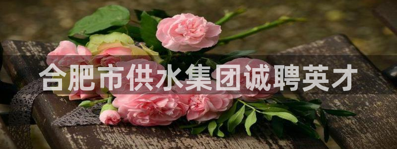 球友会下载安装