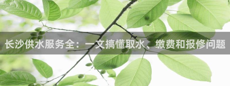 球友会FIFA22比赛是否能随机超控