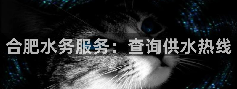 qy球友会体育官网下载