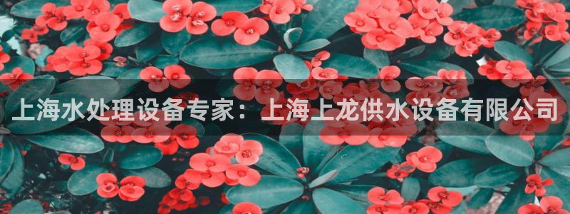 球友会友谊赛7月28日曼联阿森纳