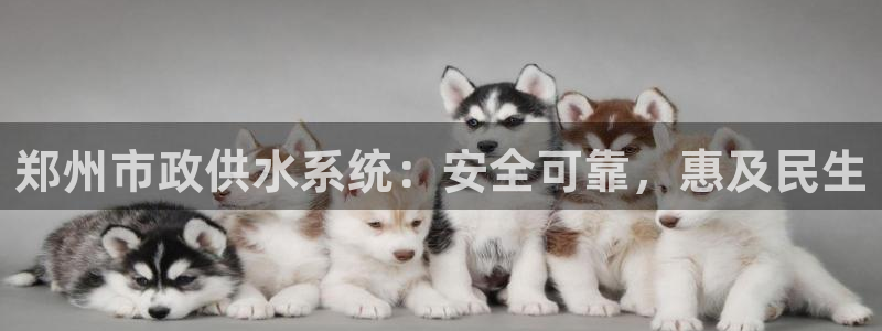 球友会app干啥的呀