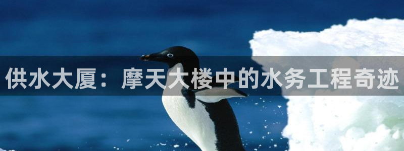 球友会app安全吗可靠吗知乎