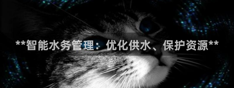 球友会qyh88bet