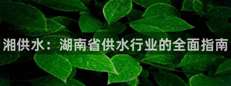 球友会app干啥的呀