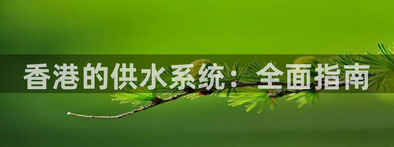 球友会比赛结果查询官网
