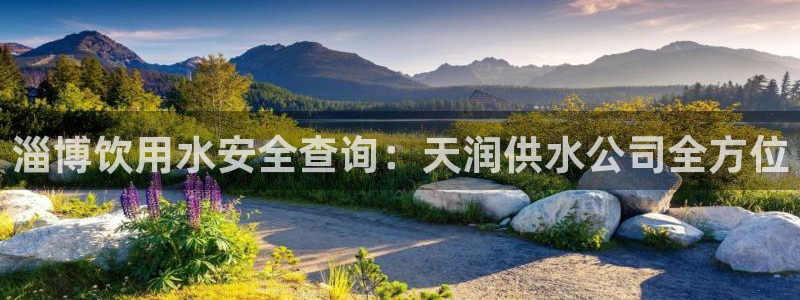 球友会比赛结果查询官网