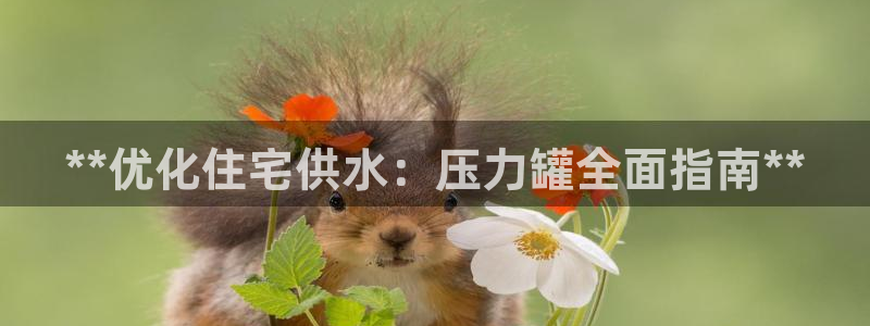 球友会首页