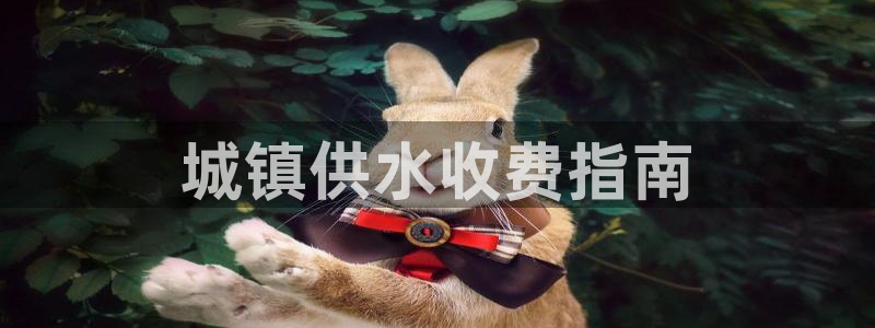 球友会网站多少