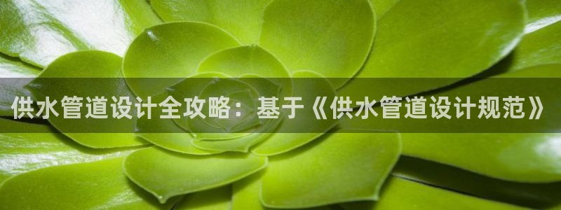 qy球友会体育官网下载