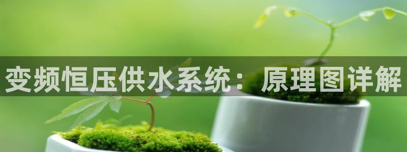 球友会体育app下载官网苹果